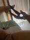 Private Photo of Gattina_Regina