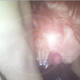Private Photo of luciferas